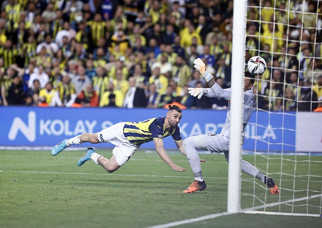 入职业生涯 入职业生涯