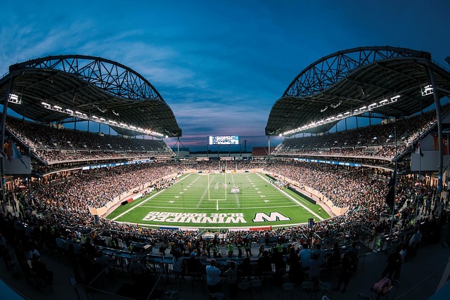 被誉为国内 被誉为国内