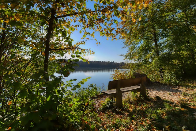 顶尖水平 顶尖水平