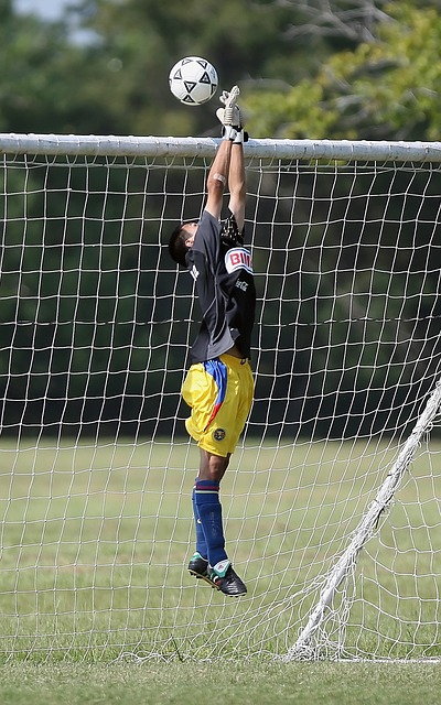 利用AR技 利用AR技