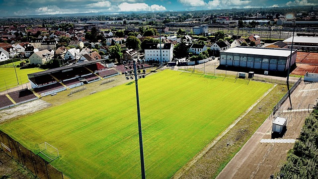 牌效应和商 牌效应和商