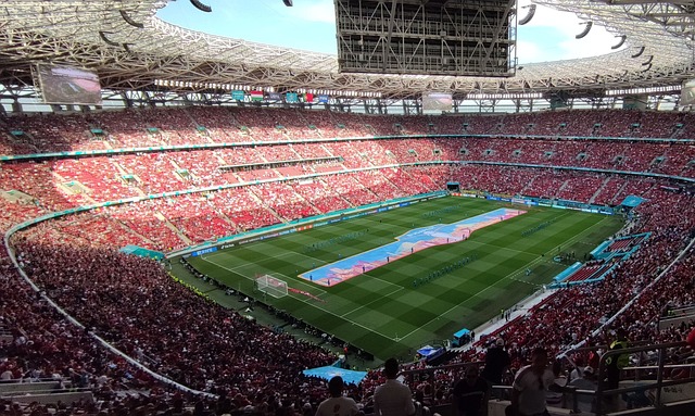 应和进化 应和进化