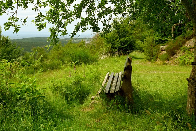 签下京多安 签下京多安