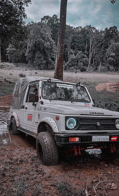 的心理优势 的心理优势